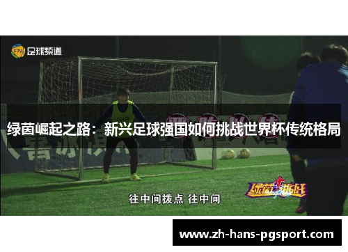 绿茵崛起之路：新兴足球强国如何挑战世界杯传统格局